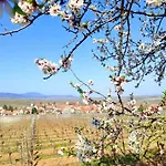 Apartment Au Coeur De Kaysersberg-le Cocon De Jeanne