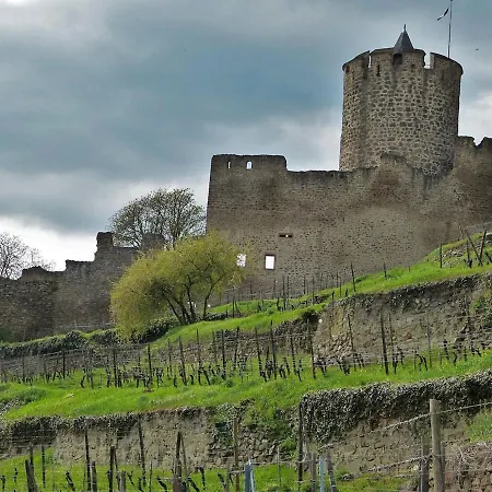 Au Coeur De Kaysersberg-le Cocon De Jeanne