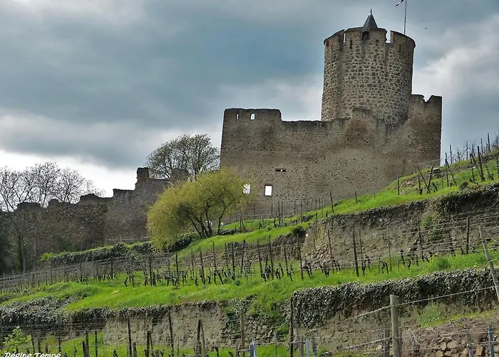 Au Coeur De Kaysersberg-le Cocon De Jeanne