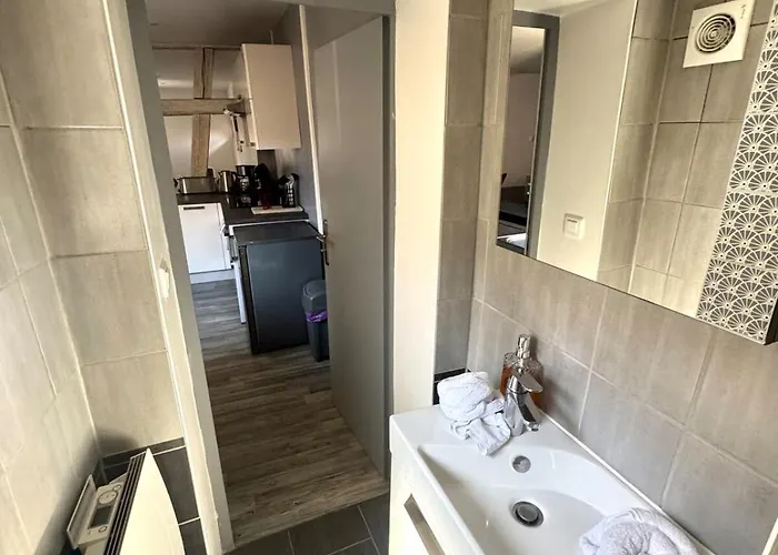 Au Coeur De Kaysersberg-le Cocon De Jeanne Apartment Kaysersberg-Vignoble